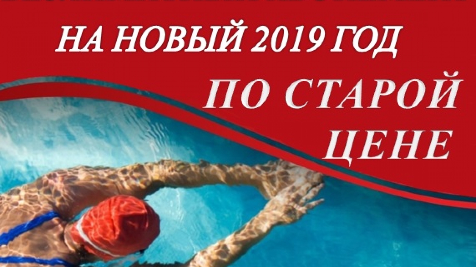 дельфин и октан