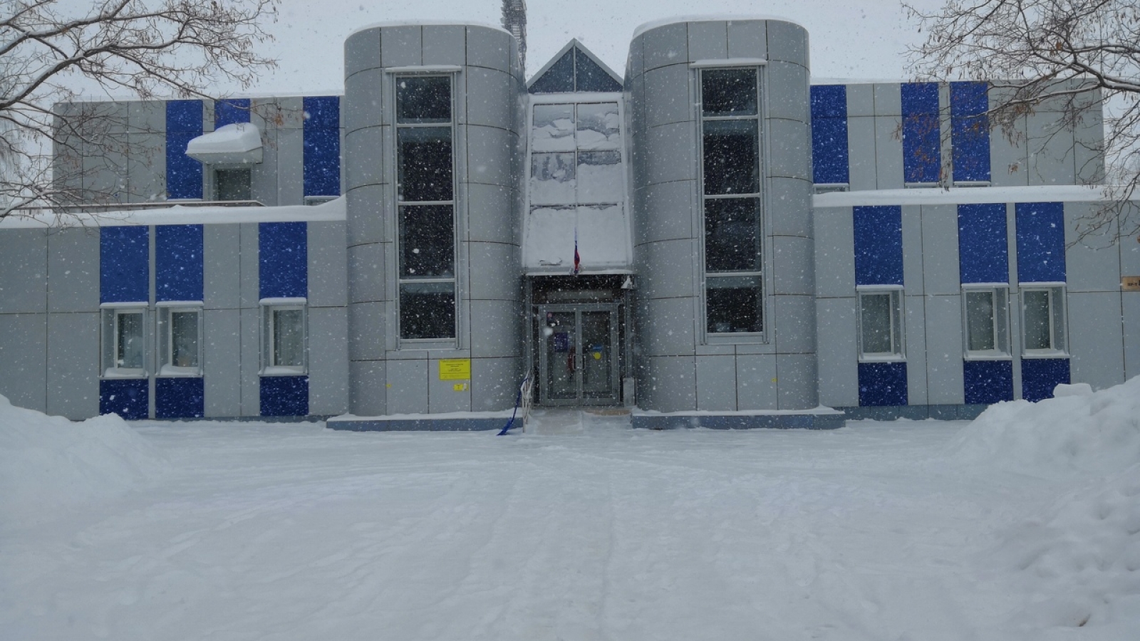 Дельфин